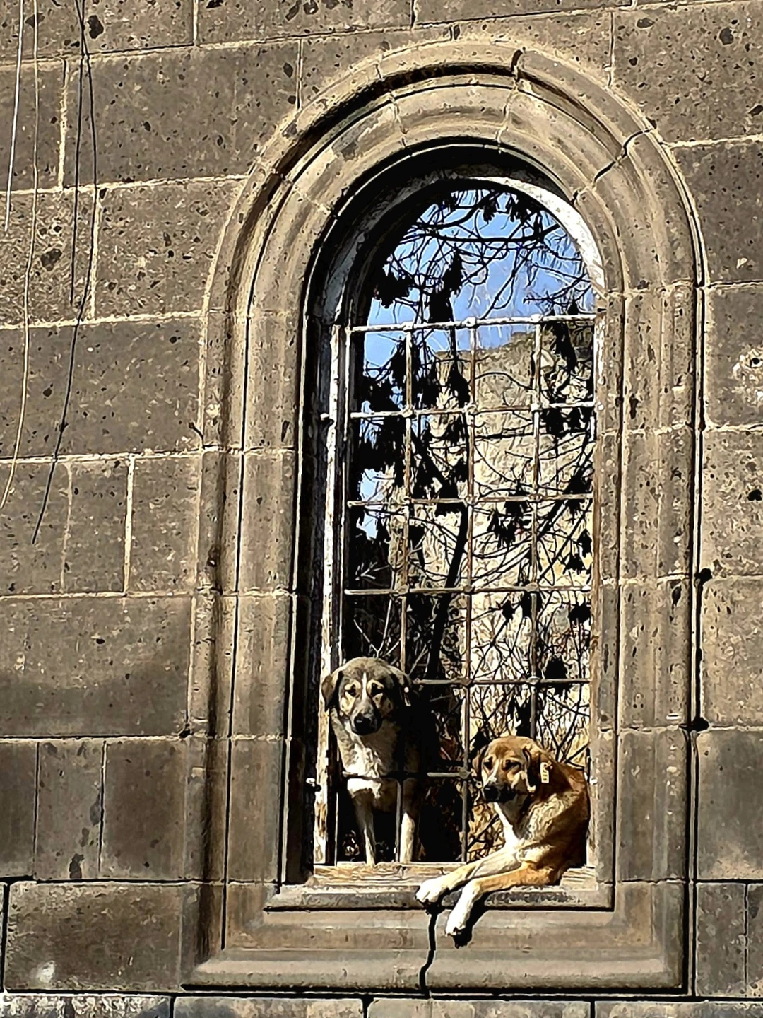 Прекрасная поездка, дающая представление о Гюмри