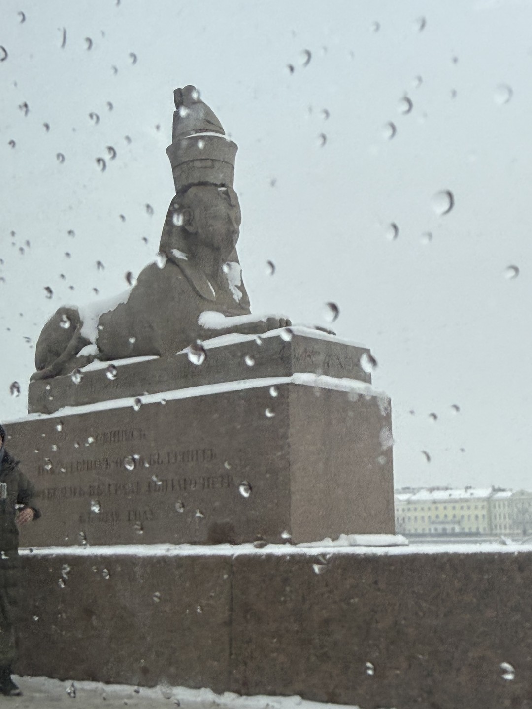 Фантастические твари и где они обитают в Санкт-Петербурге (Дина)