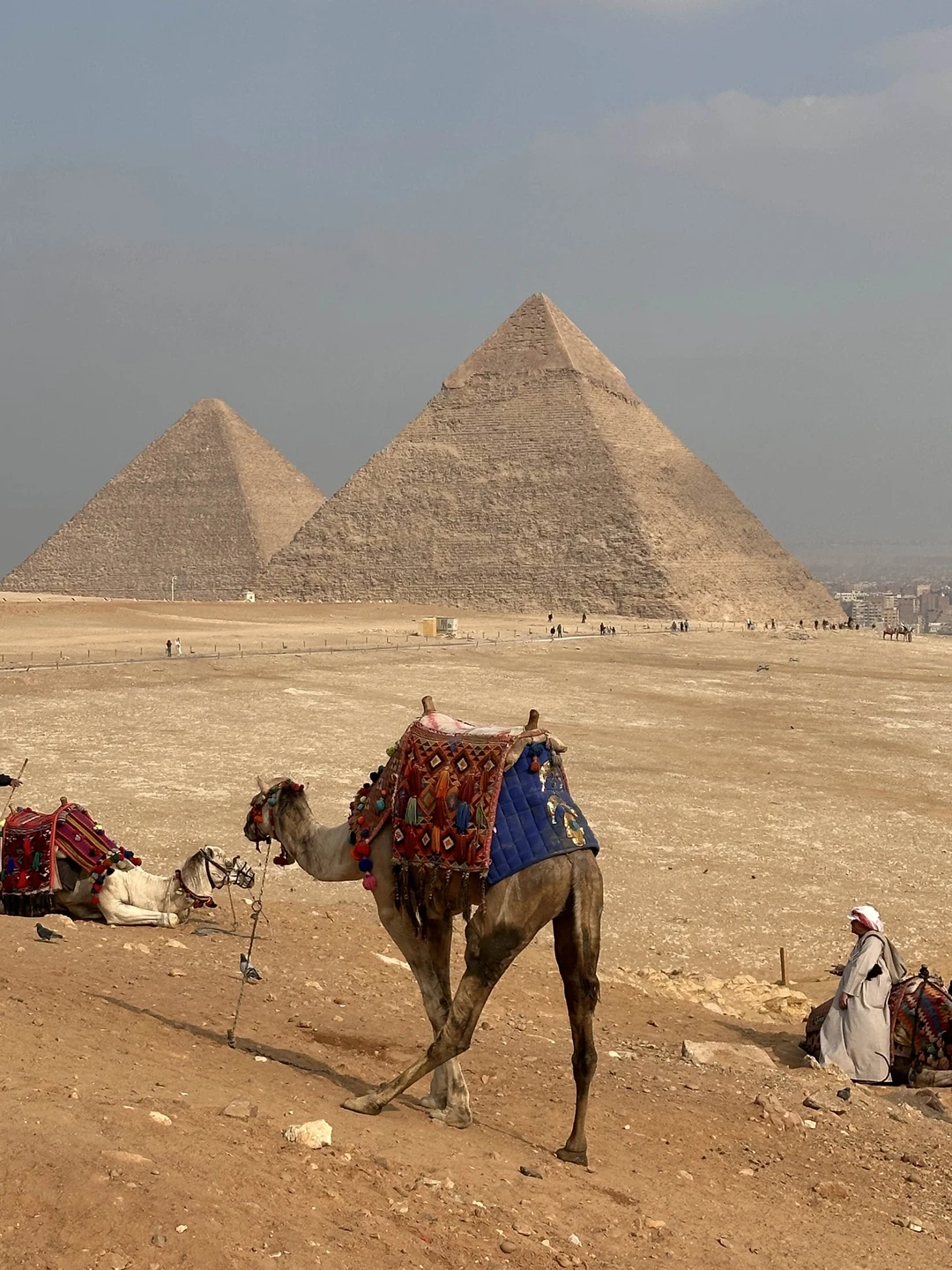 Спасибо Эмаду за такую насыщенную экскурсию. Отлично продуманный маршрут уберег нас от толпы туристов. Увидели все