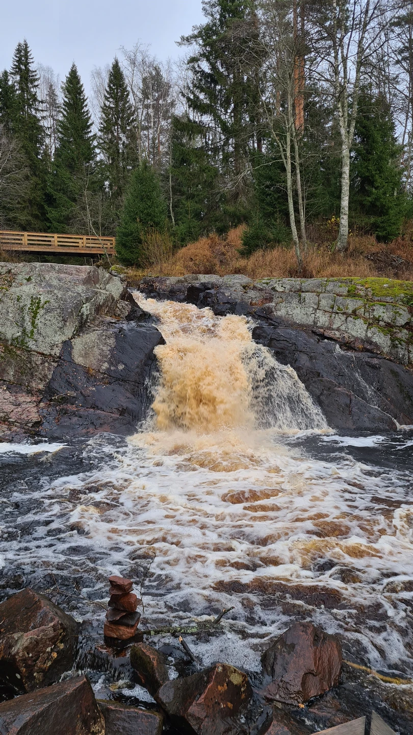 Прекрасная экскурсия! Провели отличный день в обществе Надежды и природы Карелии! Дополнительный плюс – практически полное