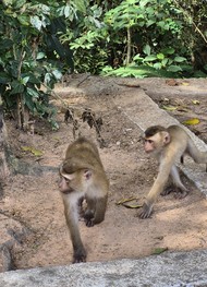 Фото отзыва 3: экскурсия "Большое путешествие по Пхукету на целый день"