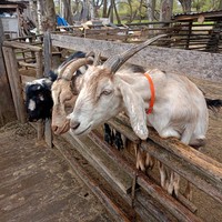 Фото отзыва 1: экскурсия "Древний Новгород, Великий Новгород"