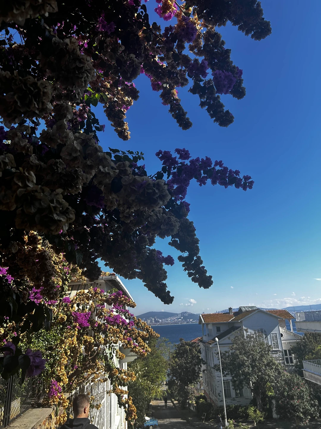 Делюсь опытом!