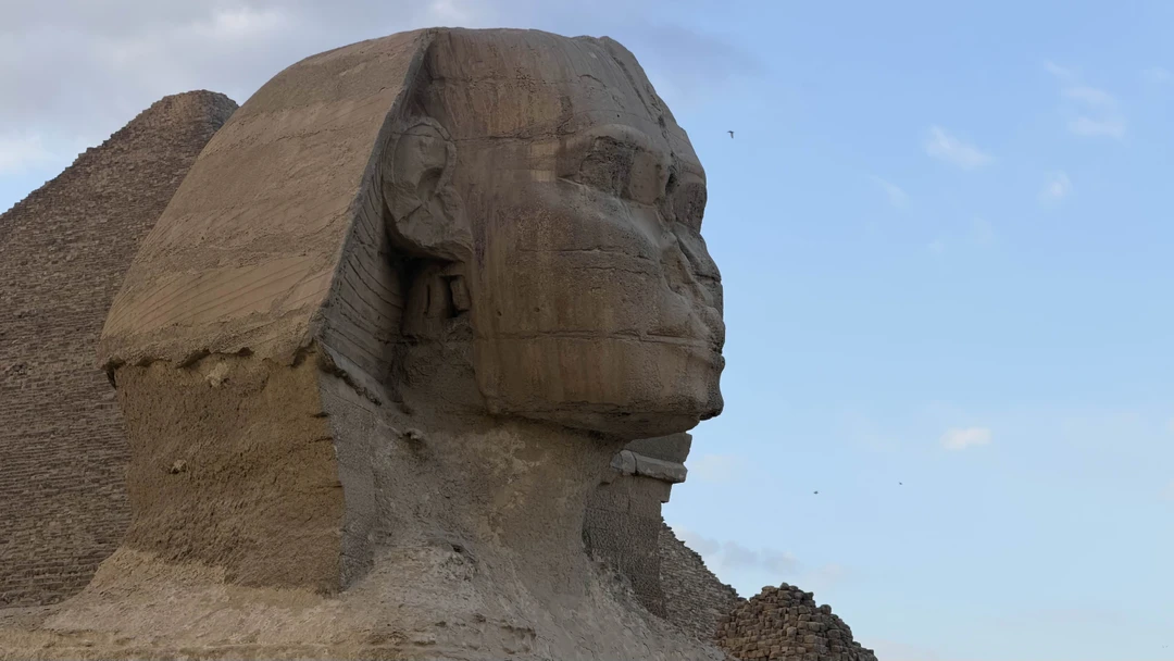Это было максимально замечательное путешествие в Каир!!! Нам безумно повезло с гидом и группой: гид сразу