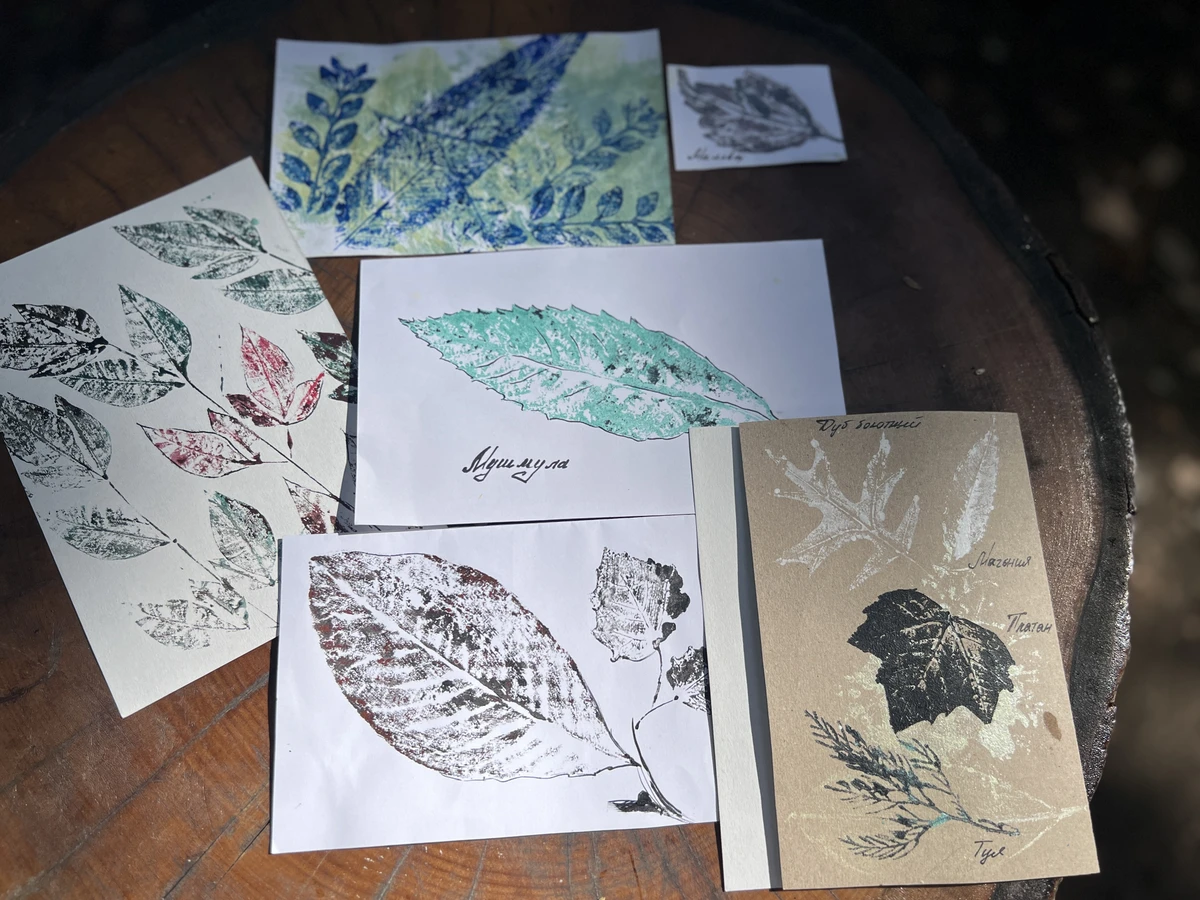 Мастер-класс по монопечати растений в Сочи (14/18)