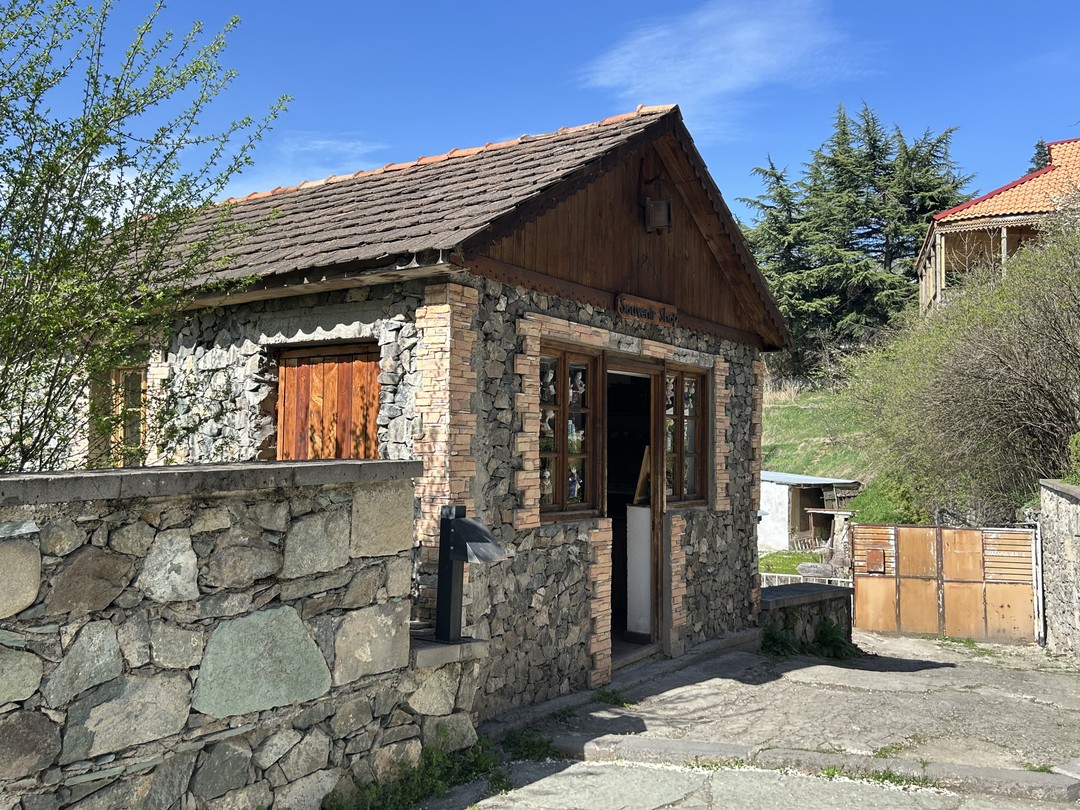 Из множества вариантов интуитивно выбрали экскурсию с Левоном. С первых же минут общения с ним поняли,