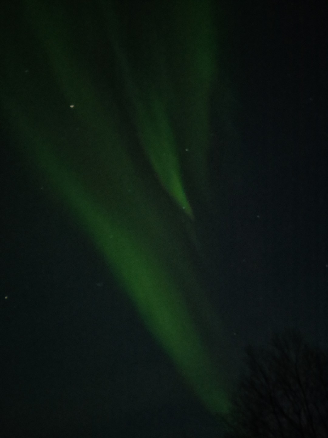 Северное сияние: увидеть главное чудо Заполярья (Елена)