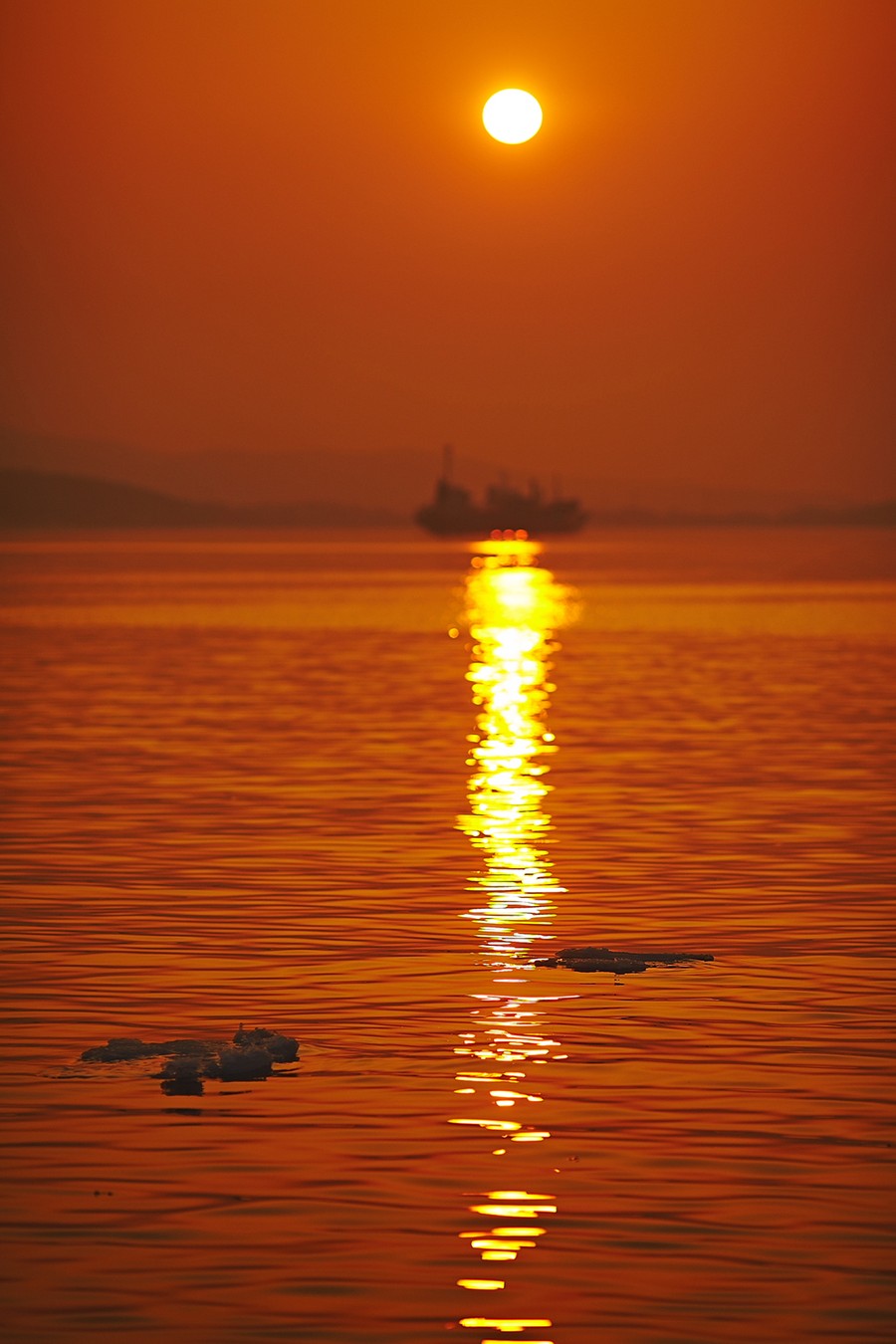 По Владивостоку и острову Русский с фотографом (26/27)