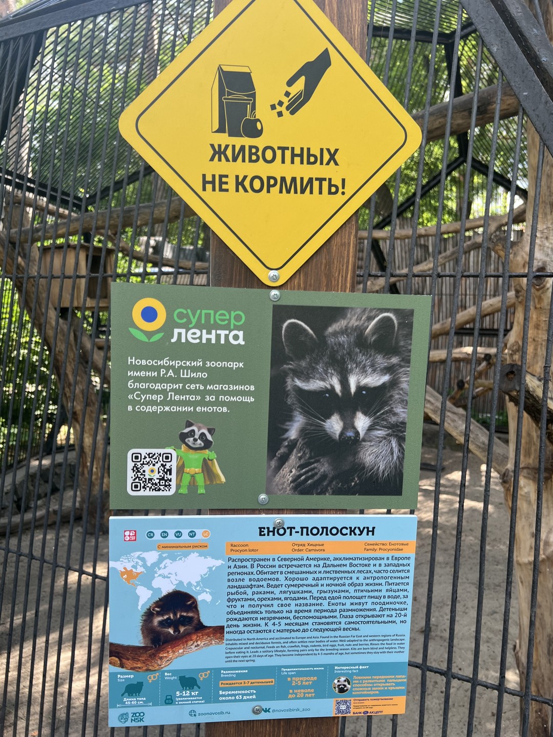 Большое спасибо Дмитрию за интересный рассказ о городе Новосибирск