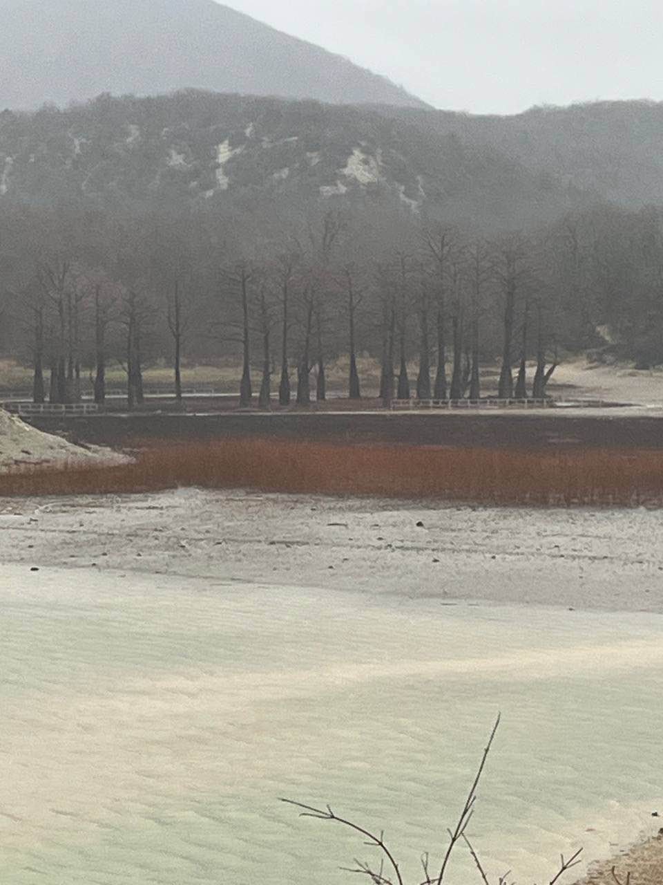 Кипарисовое озеро и развлечения на любой вкус (Анастасия)