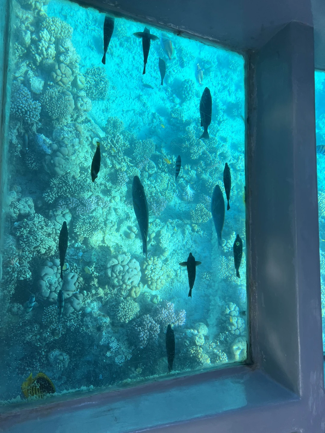 Хорошая экскурсия, неторопливо, расслабленно, как раз то что нужно на отдыхе, сначала приехали покататься на лодке