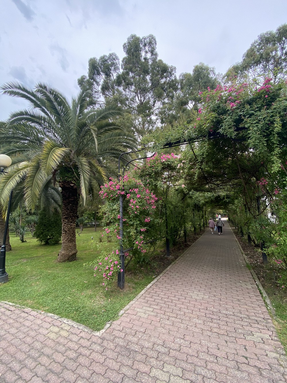 Удивительный Сочи: знакомство с городом (15/17)