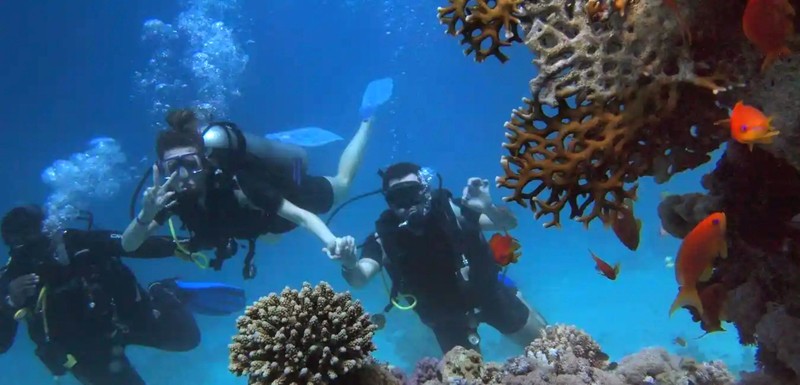 Дайвинг в Аланье (всё включено)