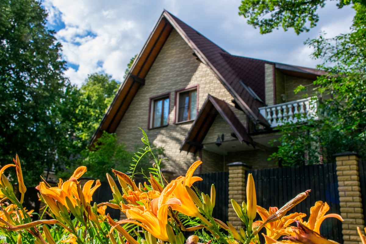 Петля времени: прогулка по посёлку художников «Сокол» (5/9)