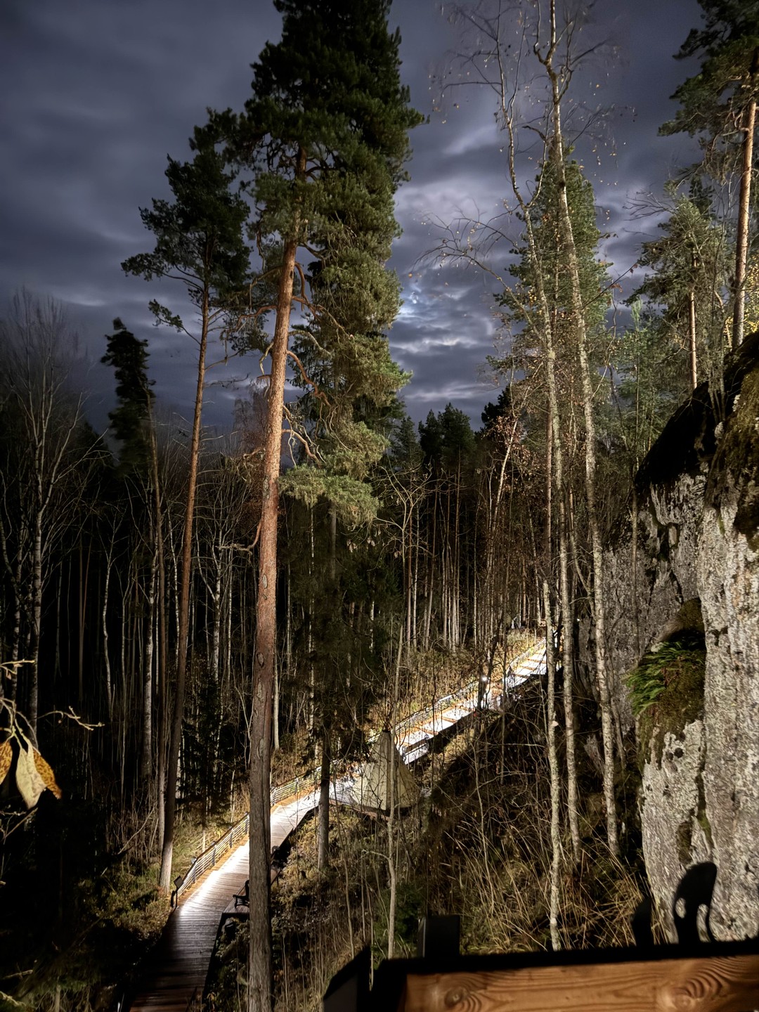 Очень было круто! И то что поехали во второй половине дня и было на горе темно