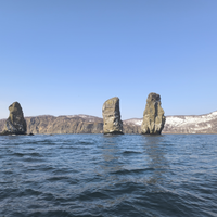 Фото отзыва 6: экскурсия "Путешествие к острову Старичков: морская рыбалка + крабовое сафари"
