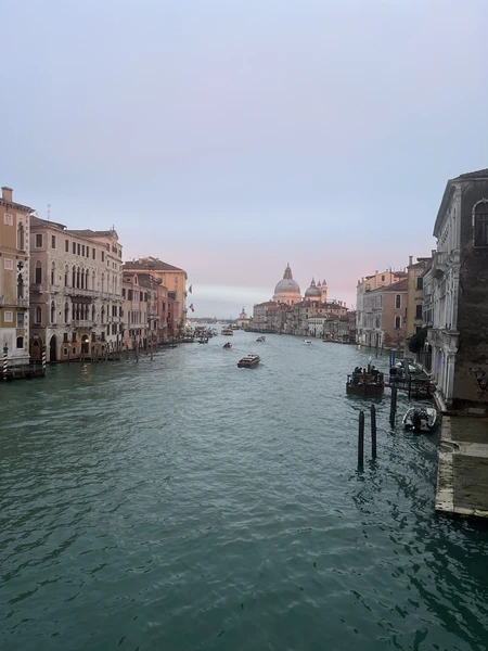 гид Ольга, остались прекрасные впечатления, всё достаточно доступно, интересно. Для первого знакомства с Венецией замечательный проводник