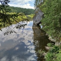 Фото отзыва 2: экскурсия "Прогулка и пикник в природном парке «Оленьи ручьи»"
