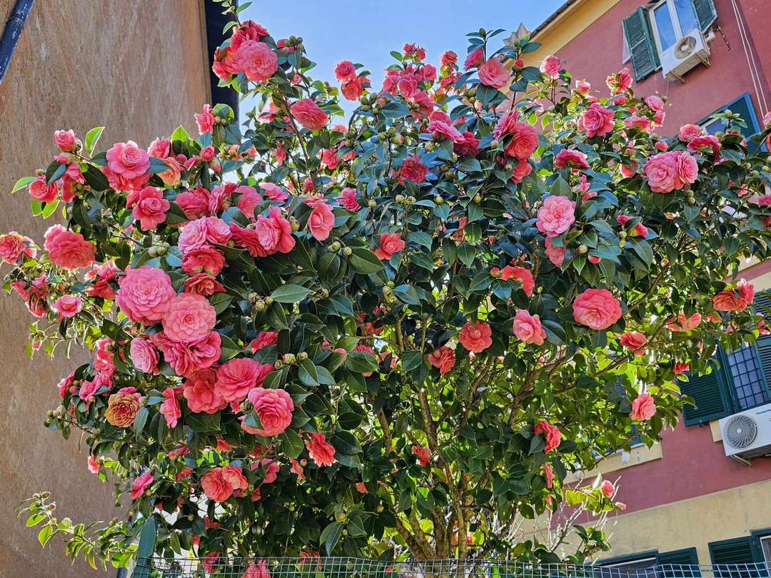 Отличная экскурсия, присоединяемся к предыдущим отзывам, рады, что выбрали её. Даёт более объёмное понимание города. Прекрасная