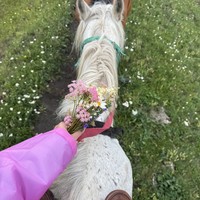 Фото отзыва 1: экскурсия "Верхом вдоль Берёзового ущелья"
