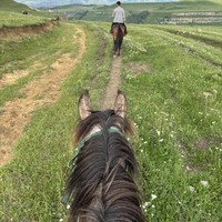 Фото отзыва 1: экскурсия "Верхом вдоль Берёзового ущелья"