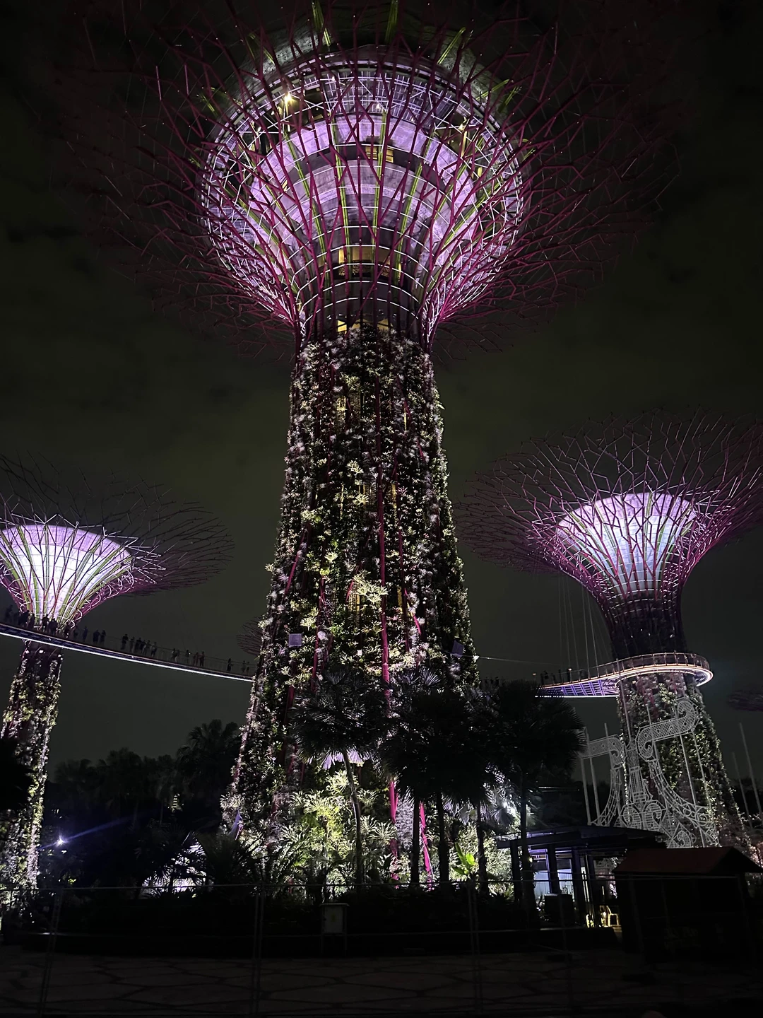 Все очень понравилось, второй раз в Сингапуре и на многое посмотрели по новому и посетили новые локации, однозначно рекомендую!