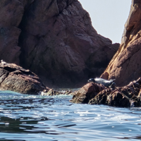 Фото отзыва 3: экскурсия "Морское приключение во Владивостоке: мыс Тобизина, котики и морепродукты!"
