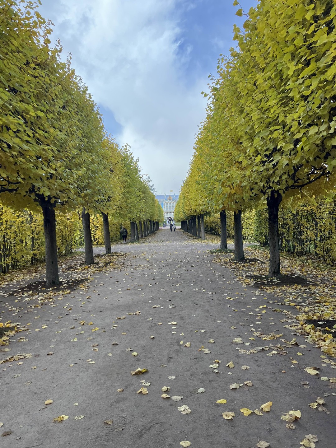 Царское Село и Петергоф в мини-группе (Денис)