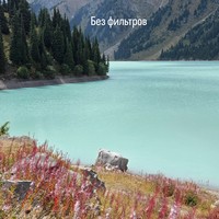 reviews img