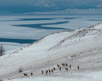 Сакральные мысы Ольхона, уха на льду и катание на коньках по Байкалу