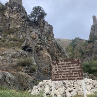 reviews img