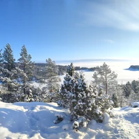 Фото отзыва 3: экскурсия "Прогулка по Ладожским шхерам на аэролодке"