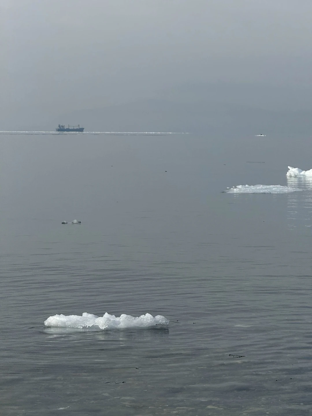 Незабываемый день во Владивостоке! Спасибо за безупречную организацию и тёплый приём!