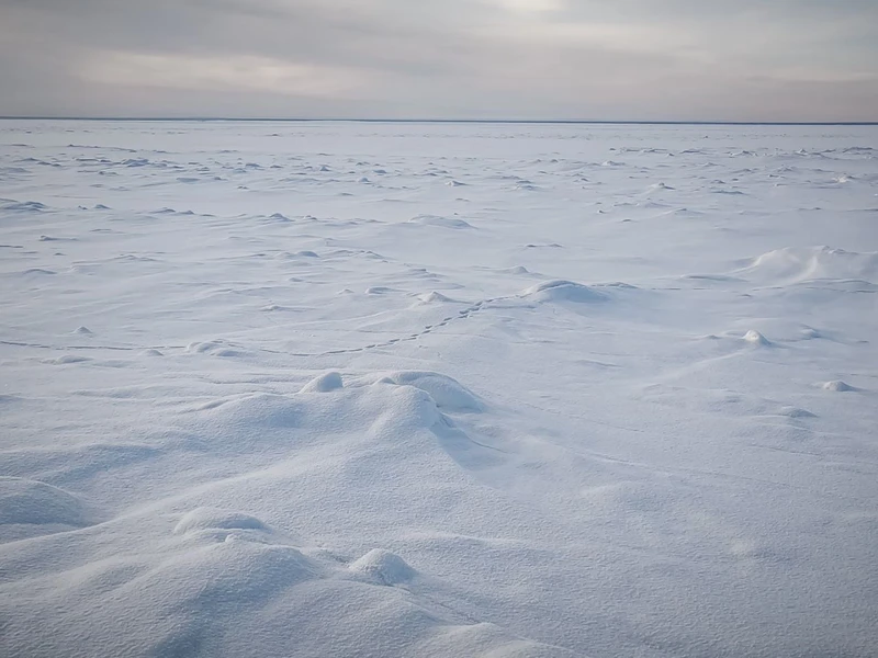 Отличная поездка получилась,рекомендую 👍 хоть было и холодно,но впечатлений осталось море❤️