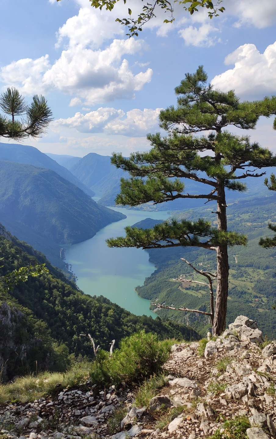 Ольга, благодарю вас за интересную и красивую экскурсию! Мне и сыновьям все очень понравилось. Красивые виды