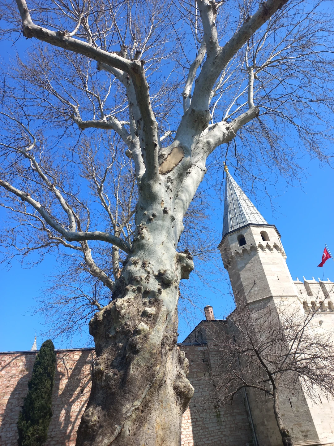 Хорошая экскурсия, компитентный гид