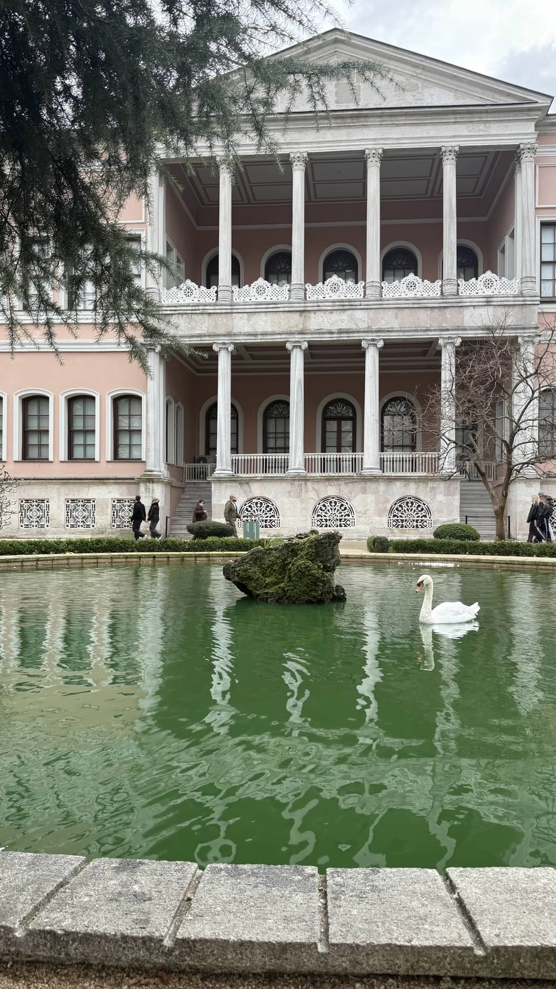 Потрясающе насыщенно и любопытно!