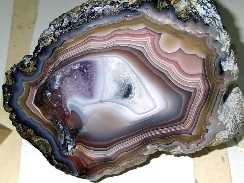 Денверский музей природы и науки: билет и аудиогид