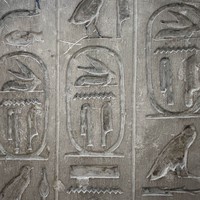 reviews img