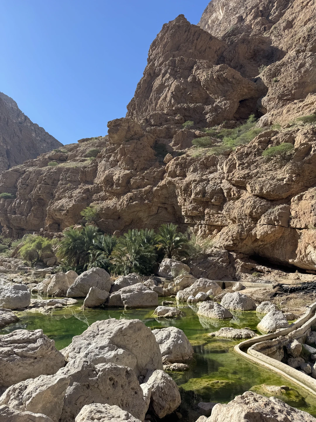 Спасибо огромное организаторам. Эмоции через край! Впечатлили захватывающие дух виды. Это яркое, динамичное и познавательное путешествие