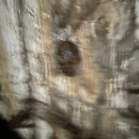 Фото отзыва 1: экскурсия "По Владивостоку и острову Русский: самое-самое за 4 часа"