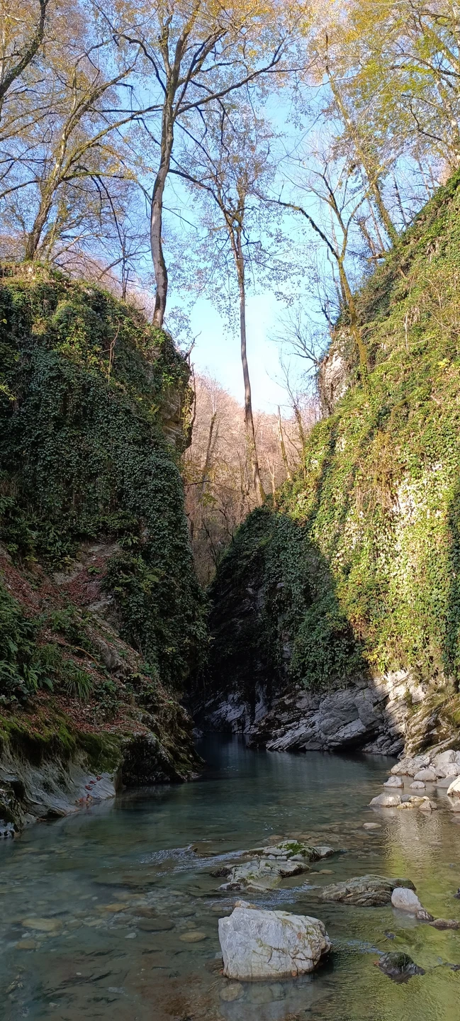 Мы прошли за день 9 километров по горам, увидели, как растёт чай, как текут горные реки