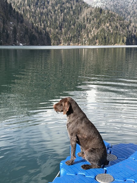 Экскурсия была организована отлично. Гид замечательный, очень приятный, внимательный и ненавязчивый человек. Никаких «навязанных» остановок не