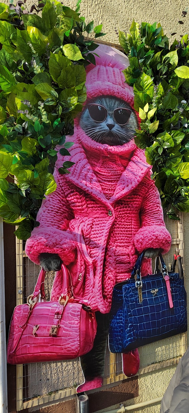 Утренняя Куршская коса, Зеленоградск и замок Нессельбек на автобусе (Татьяна)