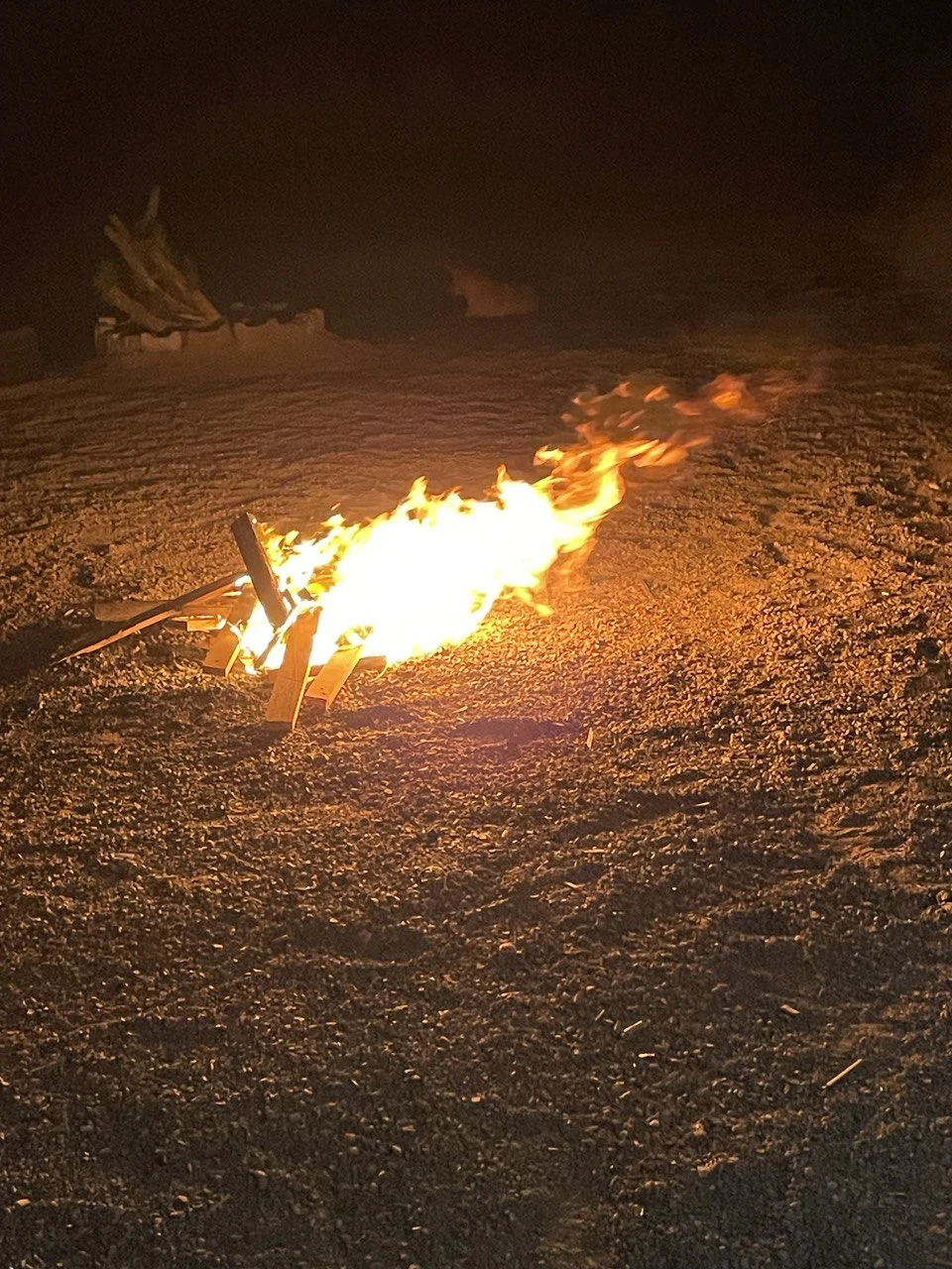 Хотим поблагодарить Ирину за организацию нашей прогулки на верблюдах в пустыню в Хургаде