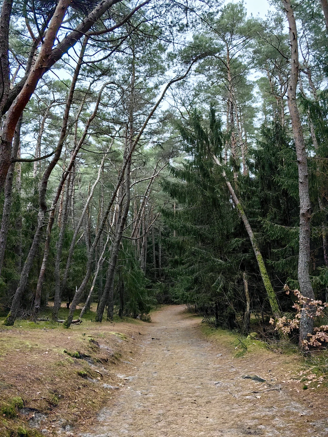 Очень нам повезло с Дмитрием. Рекомендуем всем однозначно