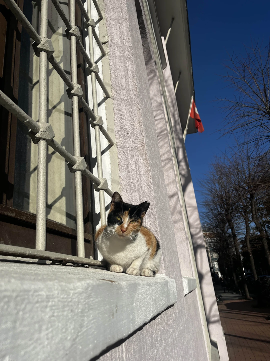 Экскурсия отличная, были учтены все пожелания! Гида точно рекомендуем!