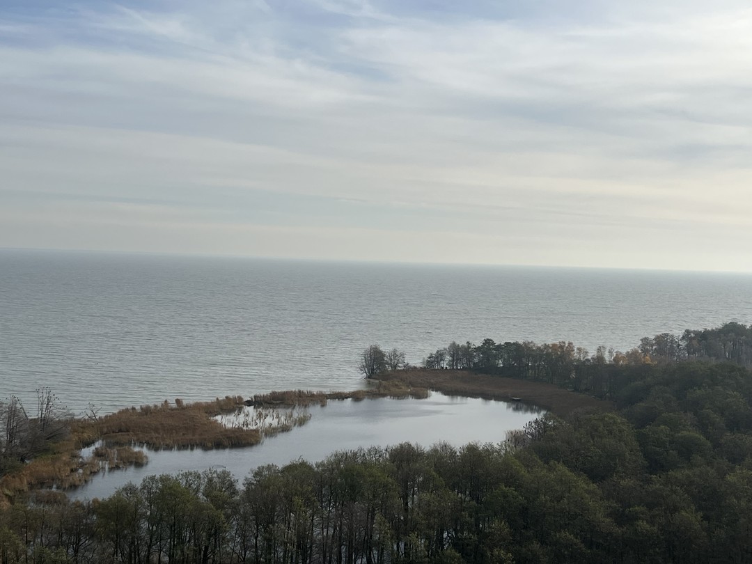 Замечательно провели время! Так нежно и так бережно берегут калининградцы рукотворный нетронутый цивилизацией маленький клочок земли!