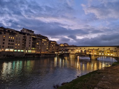 Фото отзыва 3: экскурсия "Великолепная Флоренция"