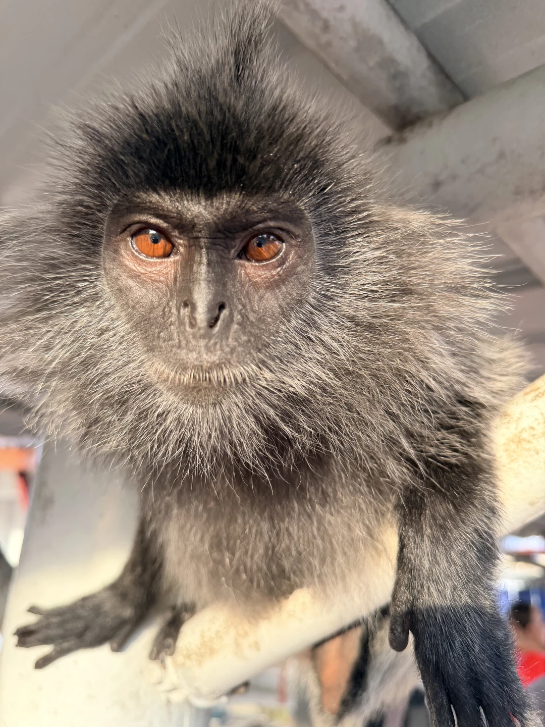 Экскурсия очень понравилась, впечатления превзошли ожидания. Отличная организация, интересная программа и действительно красивые места. Остались полностью